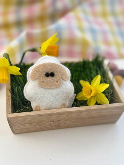 Baby Animal