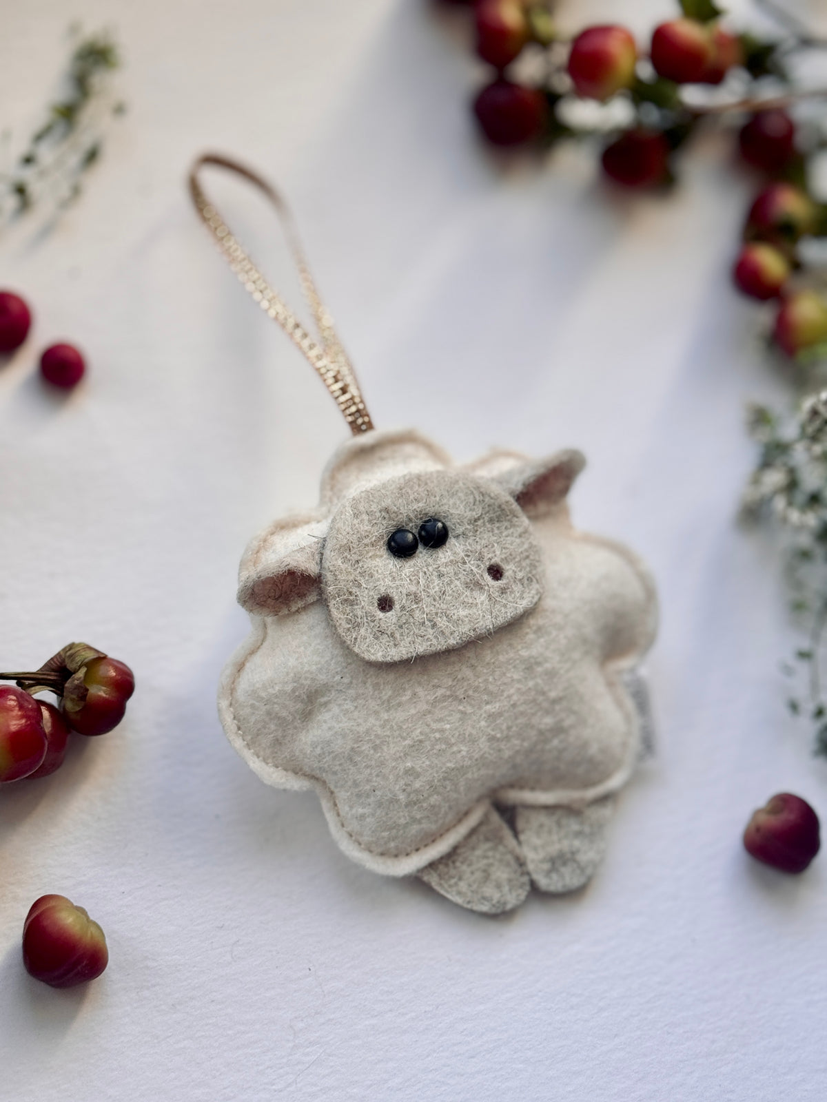 Sheep