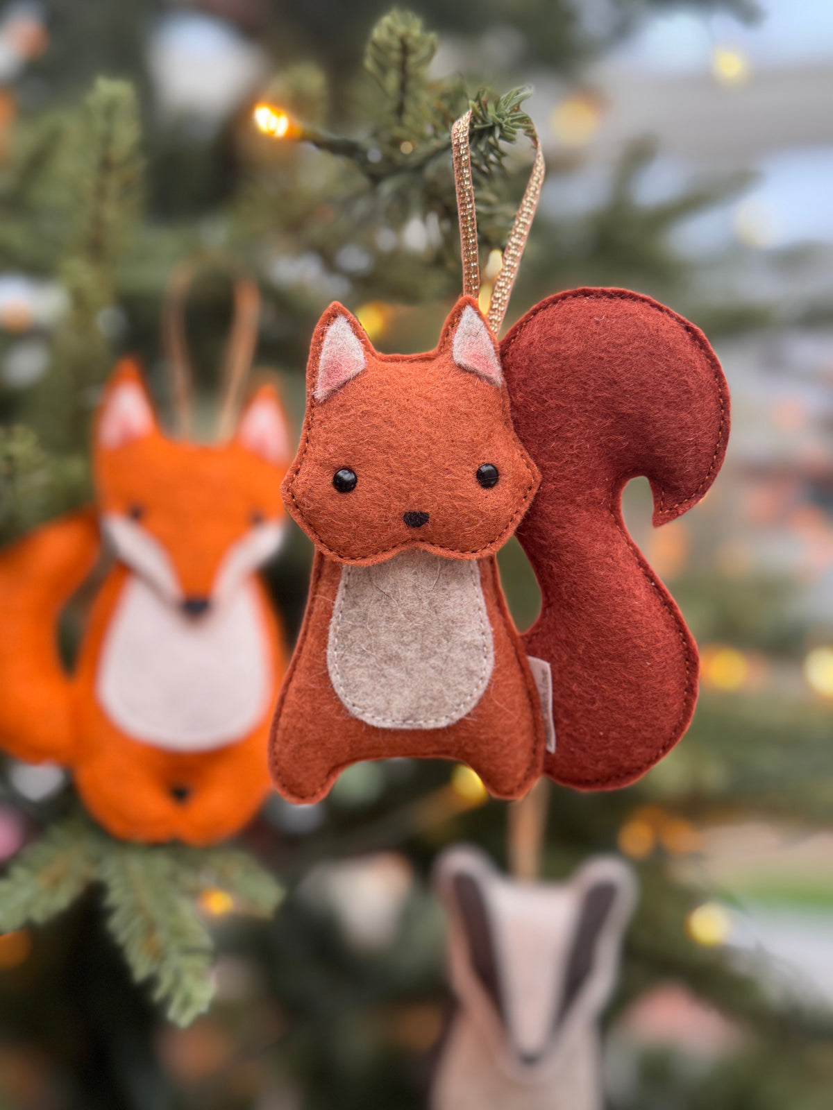 Squirrel