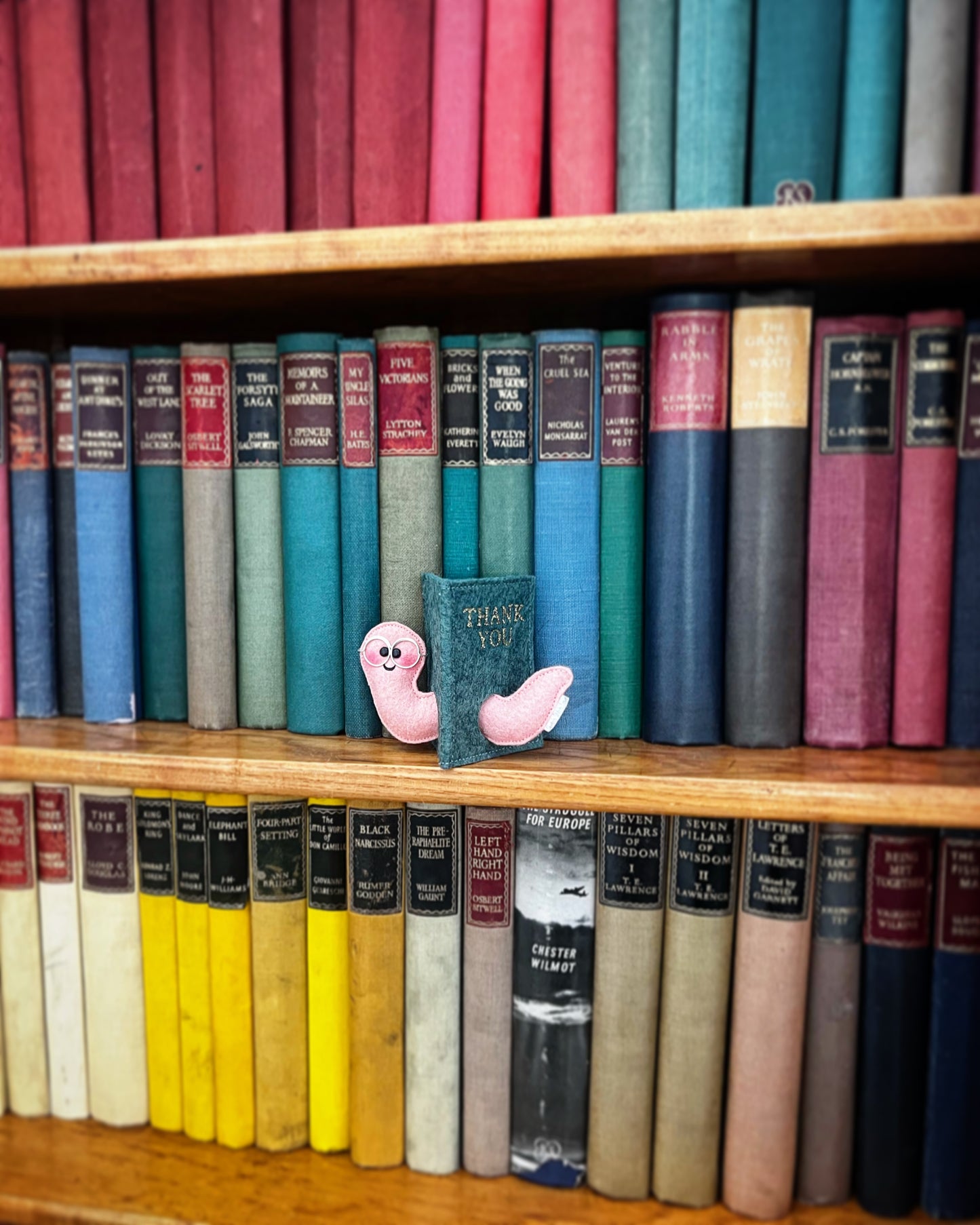 Bookworm